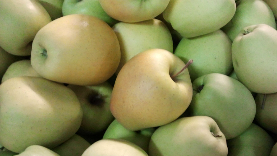 Exportateur polonais de fruits, pommes, poires, prunes, cerises, vente en gros Pologne 02