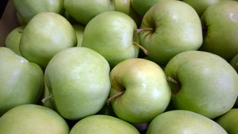 Exportateur polonais de fruits, pommes, poires, prunes, cerises, vente en gros Pologne 01