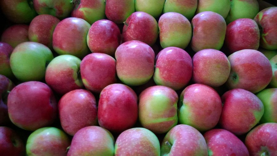 Exportateur polonais de fruits, pommes, poires, prunes, cerises, vente en gros Pologne 01